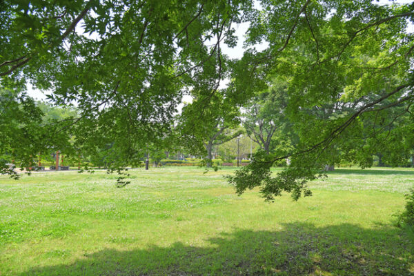 都立武蔵野公園
