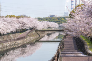 平和市民公園
