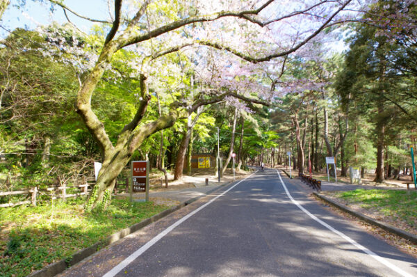 足立公園