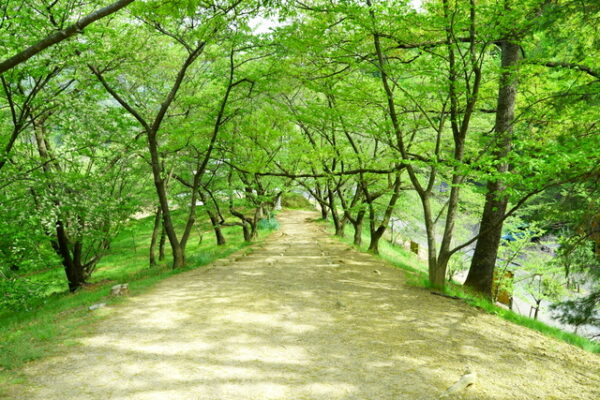 弘法山古墳公園