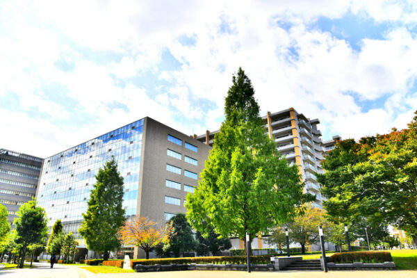 緑町北公園