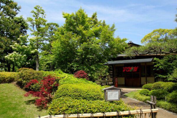駿府城公園