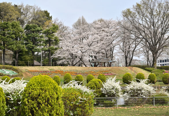 大崎公園