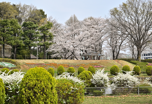 大崎公園