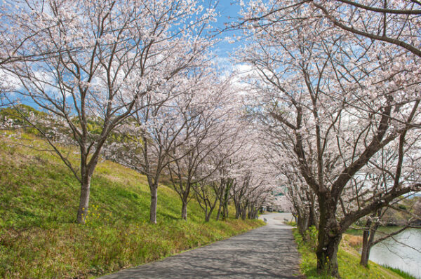 日の隈公園