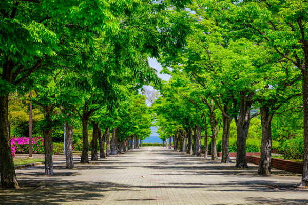 香川県総合運動公園