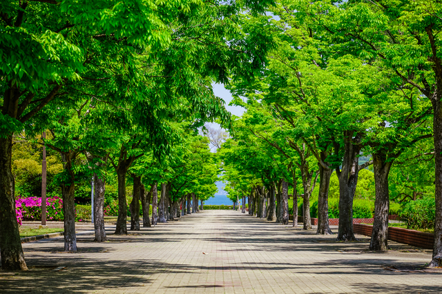 香川県総合運動公園