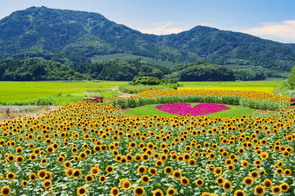 上堰潟公園
