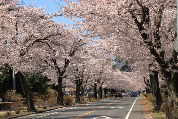 大平運動公園