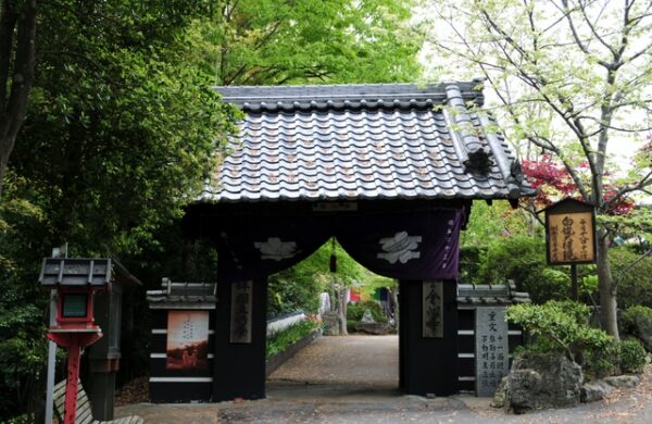 金心寺