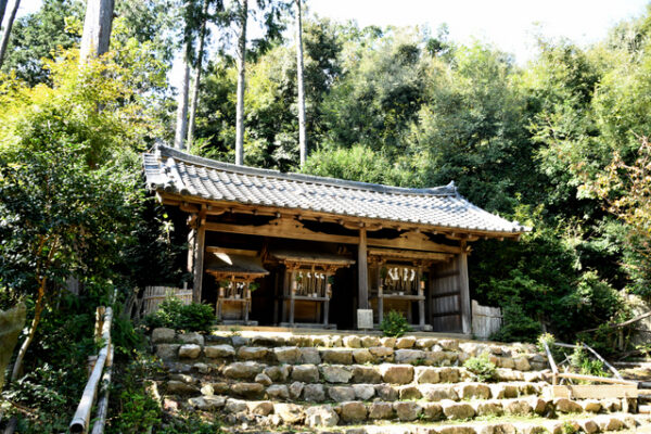 自玉手祭来酒解神社
