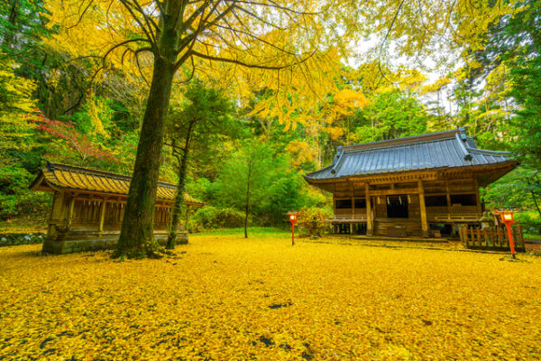 二岡神社