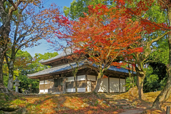 観世音寺
