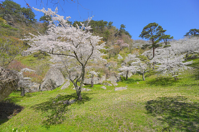 きみまち阪県立自然公園