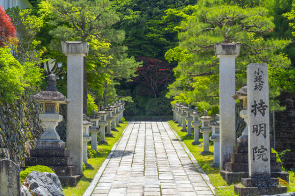 小坂坊 持明院