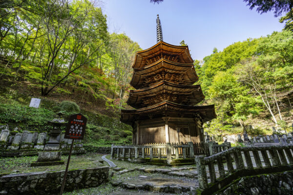 安楽寺 上田