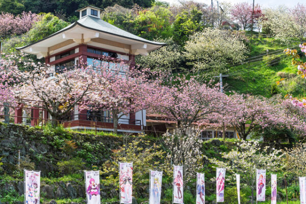 不動尊一心寺の桜(大分県)