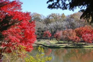 北山公園