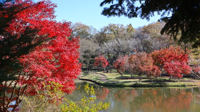 北山公園