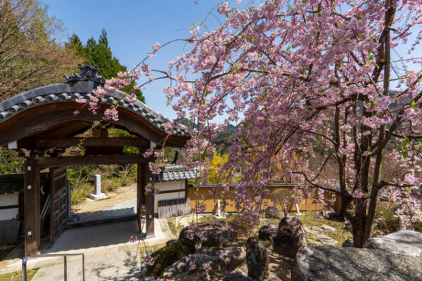 信濃比叡 廣拯院