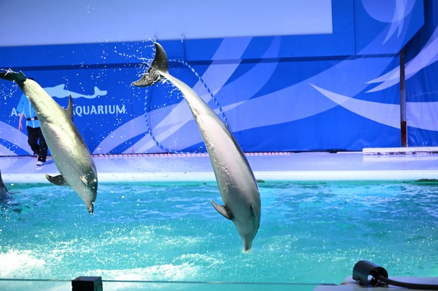 浅虫水族館