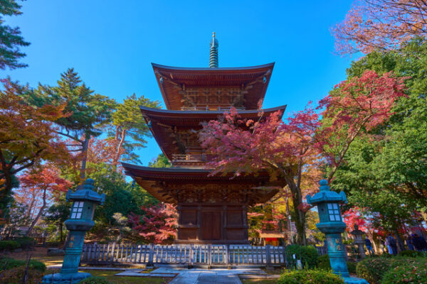 豪徳寺