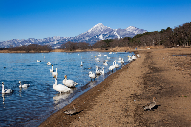 猪苗代湖 志田浜