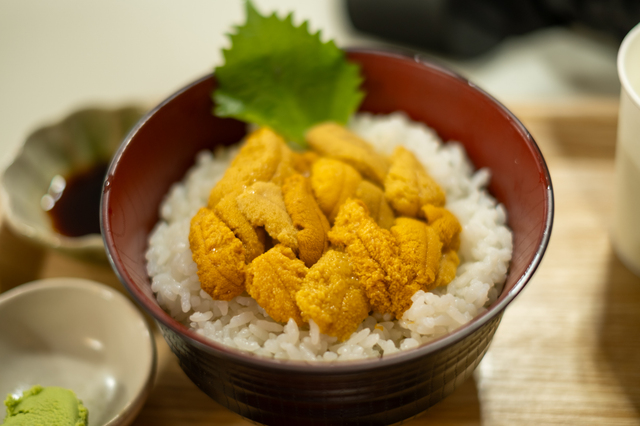 函館 ウニ丼