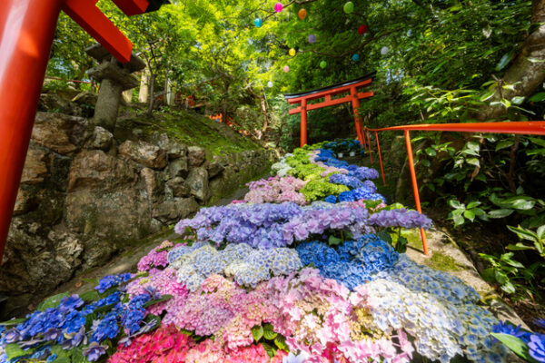 柳谷観音楊谷寺