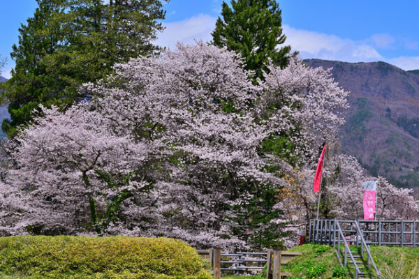 名胡桃城址