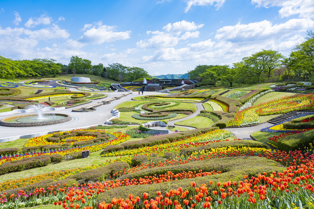 みちのく杜の湖畔公園