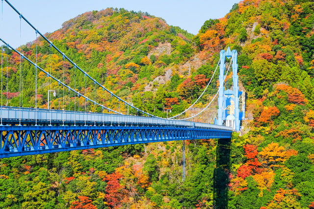 竜神大吊橋