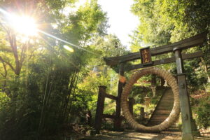 竹寺