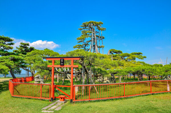 唐崎神社