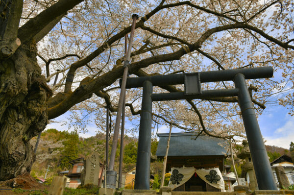 素桜神社