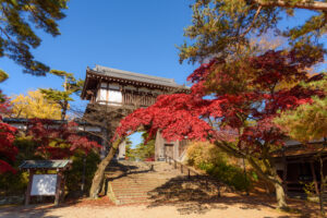 千秋公園　久保田城跡