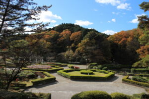 台原森林公園