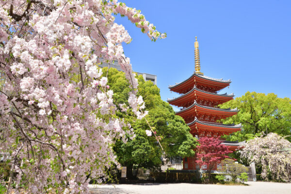 東長寺