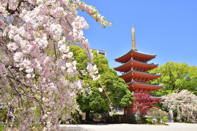 東長寺