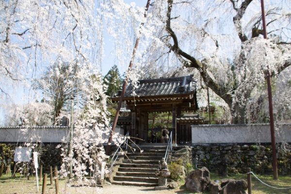 清雲寺