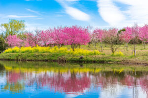 古河公方公園