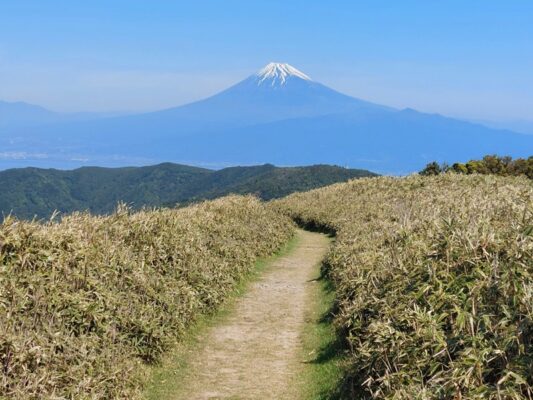 達磨山