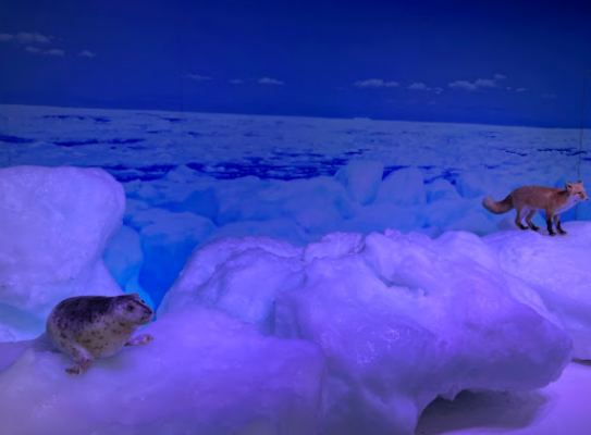 オホーツク流氷館