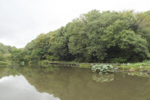 県立四季の森公園