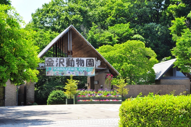 金沢動物園