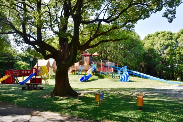 平塚市総合公園