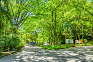 生田緑地