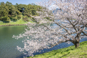皇居外苑
