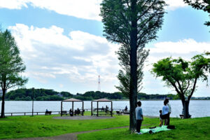 手賀沼公園