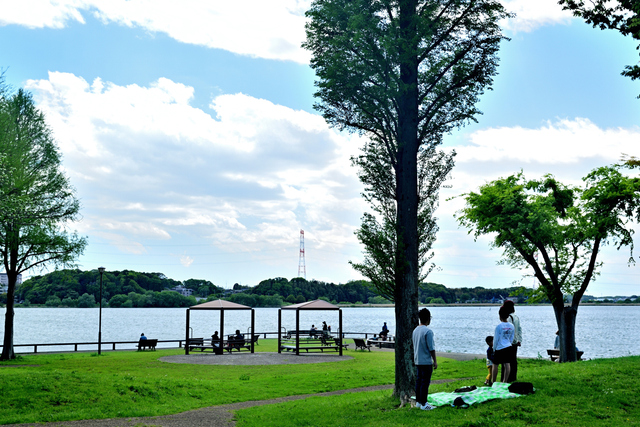 手賀沼公園